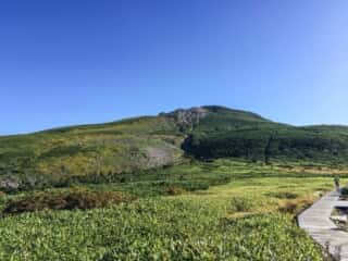 観光新道登山道　