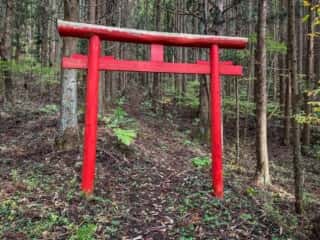 羽黒岩への山道と鳥居