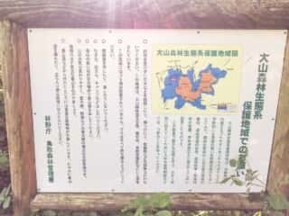 大山登山道
