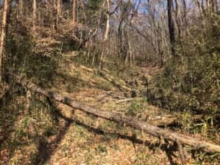 櫃石 (磐座)への山道