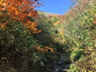 岩木山登山道