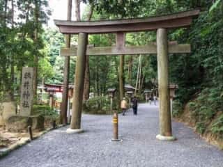 狭井神社　参道