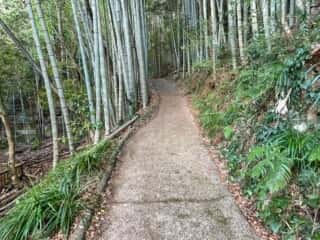四国八十八ヶ所霊場 第36番札所 青龍寺奥の院