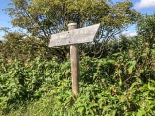 摩周岳登山道