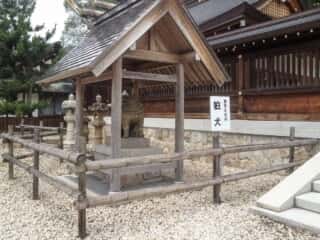 籠神社　狛犬