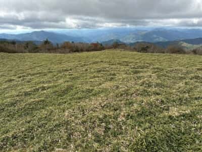土佐矢筈山・小桧曽山