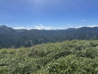 塔丸