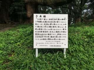 大汝大遅神社 千本楠