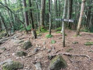 権現岳登山道