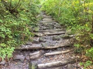 大山登山道