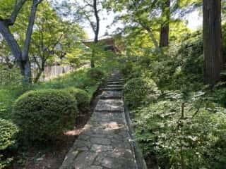 四国八十八ヶ所 81番札所 白峯寺
