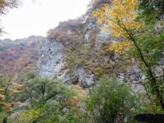 剣山スーパー林道