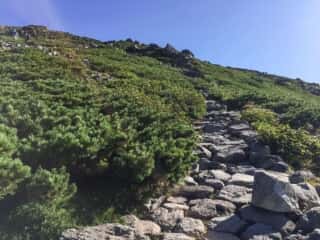 御前峰 白山登山道