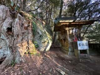 神峯神社