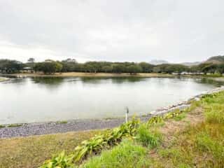 四国八十八ヶ所霊場 第40番札所 観自在寺〜宇和島駅