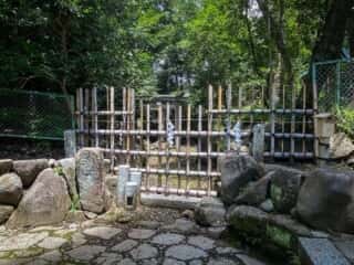 木嶋神社 (蚕の社)　三柱鳥居