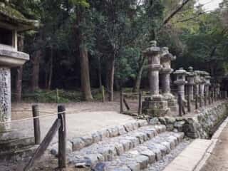 春日大社の参道沿いの石塔