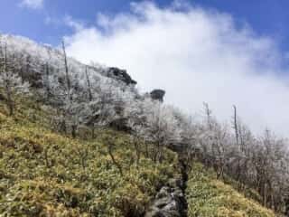 鶴石・亀石への山道