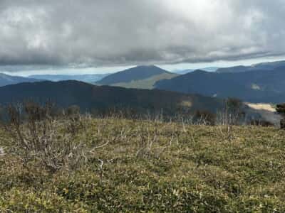 土佐矢筈山・小桧曽山