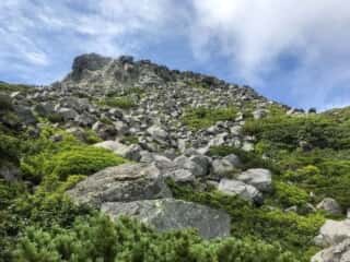 羅臼岳登山道の展望