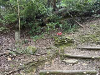 四国八十八ヶ所霊場 第11番札所 藤井寺〜第12番札所 焼山寺
