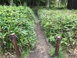 フレぺの滝 遊歩道