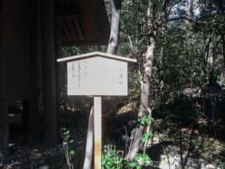 熱田神宮　お清水