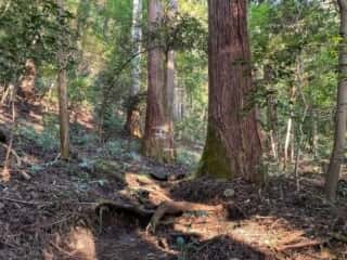 妙義山 登山道
