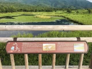 知床五湖 地上遊歩道