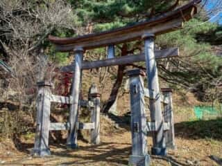石上神社 (岩手県)　鳥居