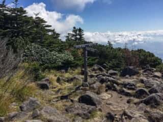 権現岳登山道