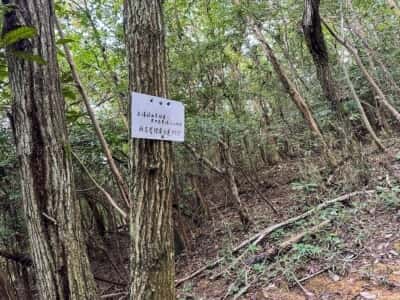 忌部山古墳