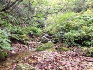 船通山登山道を流れる斐伊川