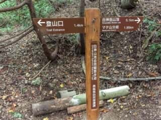白神岳登山道