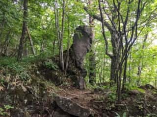 権現岳登山道