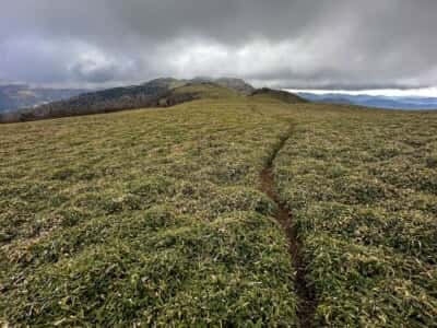 土佐矢筈山・小桧曽山