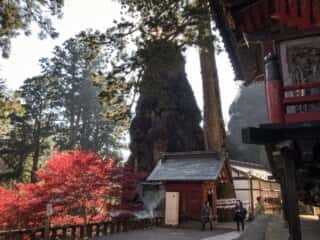 榛名神社の境内から鉾岩を望む