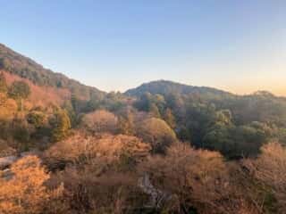 清水寺からの景色