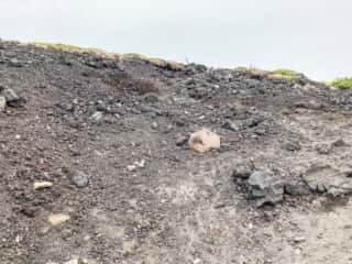 岩手山登山道