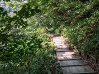 大山登山道