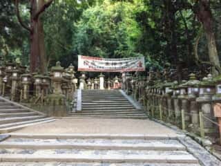 春日大社の参道