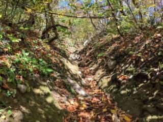 岩木山登山道