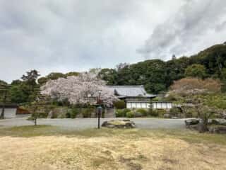 四国八十八ヶ所霊場 第50番札所 繁多寺