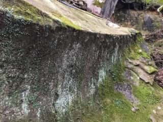 竹ケ島の石切場 矢の跡