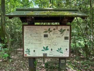 四国八十八ヶ所霊場 第81番札所 白峯寺〜第82番札所 根香寺
