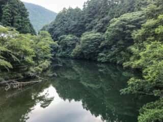 もみじ川