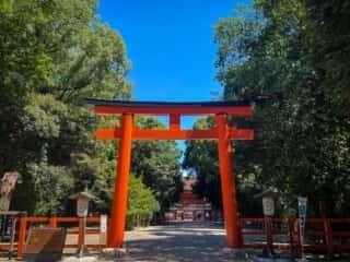 下鴨神社　南口鳥居