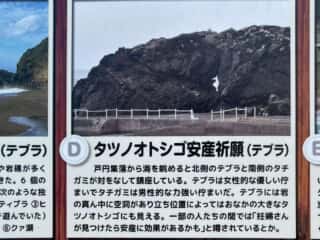 奄美大島 戸円ふれあいパーク