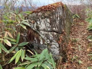 石上登山道