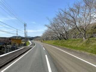 四国八十八ヶ所霊場 第38番札所 金剛福寺～第39番札所 延光寺